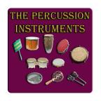 Percussion Instrument(叩诊鼓)