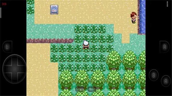 口袋妖怪荒芜世界最终作重制版  v1.0