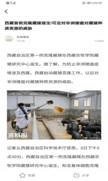 金猪数据 v2.0.5