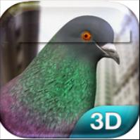 Pigeon Simulator(我是一只可爱的鸽子)