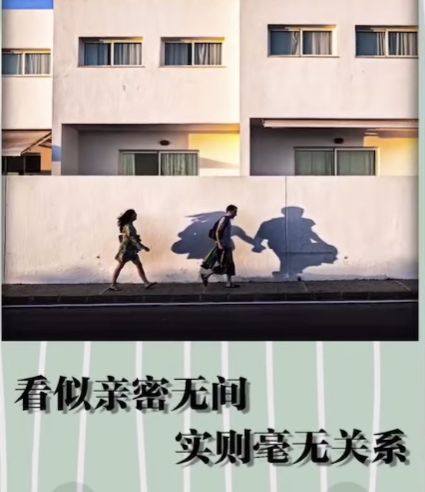 看似亲密无间实则毫无关系图片 v1.0