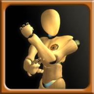 咏春拳师Wing Chun Trainer