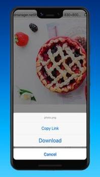 DManager v3.0.5