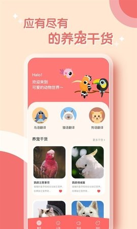 鸟语翻译器 v1.0.0