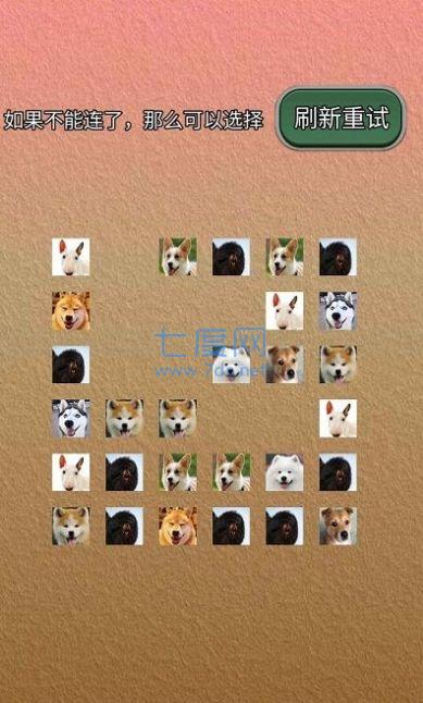 宠物连的快游戏