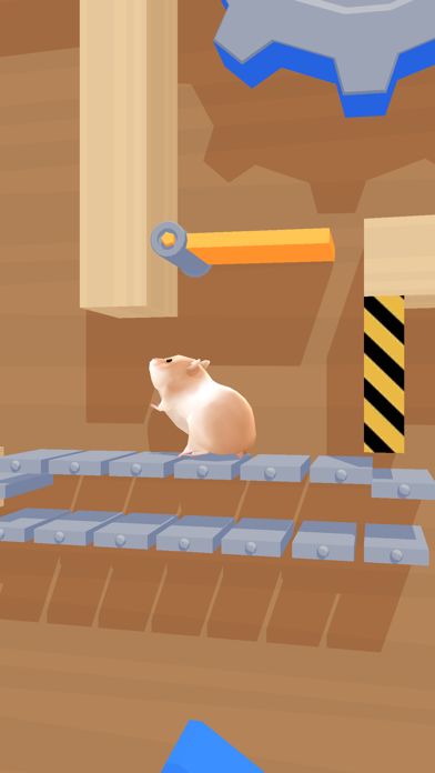 Hamster Maze.jpg Hamster Maze.jpg