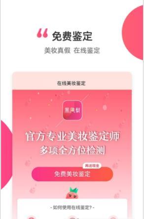 黑凤梨截图0