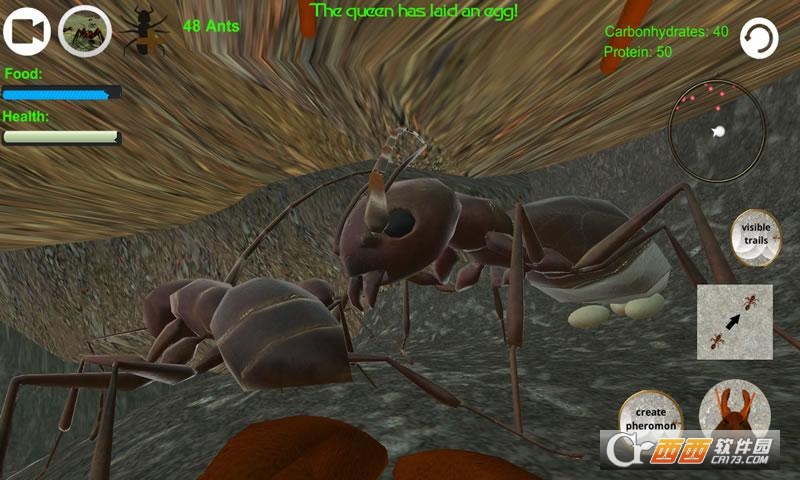 蚂蚁模拟安卓版