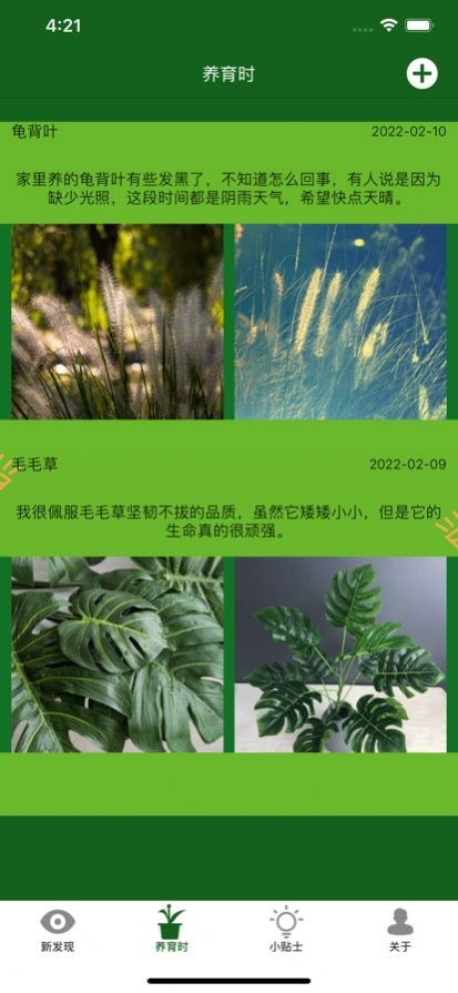 满眼青翠  V 1.0.0