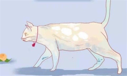 逃跑的猫  v1.0