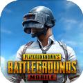 pubg国际版