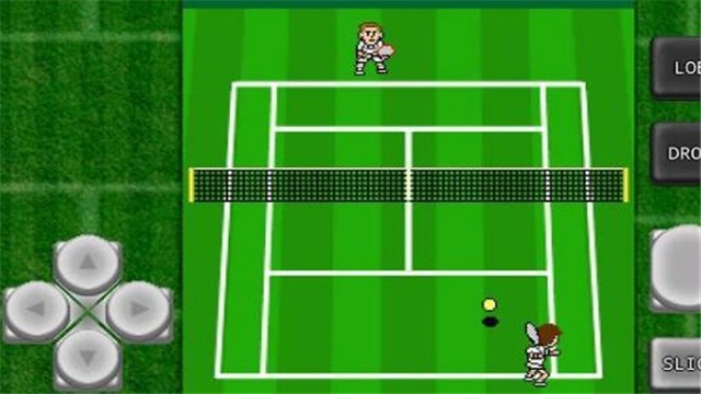 加钦科网球2  v1.3