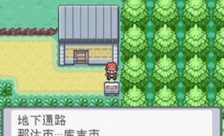 口袋妖怪恐惧黑  v1.0