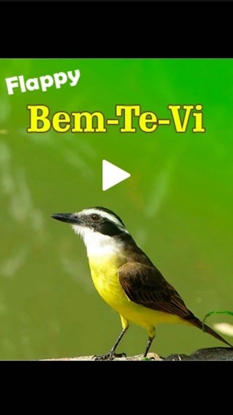 1631775566192313.jpg 1631775566192313.jpg