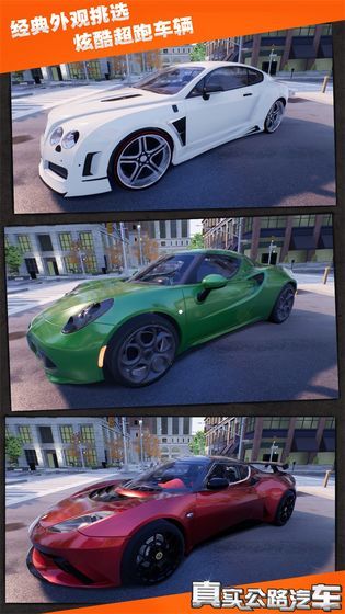 真实公路汽车2020免费金币中文版下载  v4.0.4