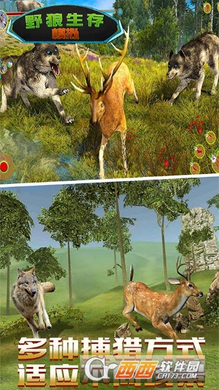 野狼生存模拟截图0