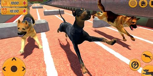 警犬跨栏冲刺 v0.1