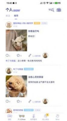 BiBiPet宠物社交.jpg