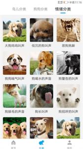 鸡语翻译器