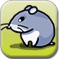 老鼠迷宫中文版