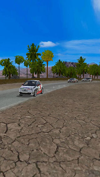 极速拉力赛车最新版(Final Rally) v1.10