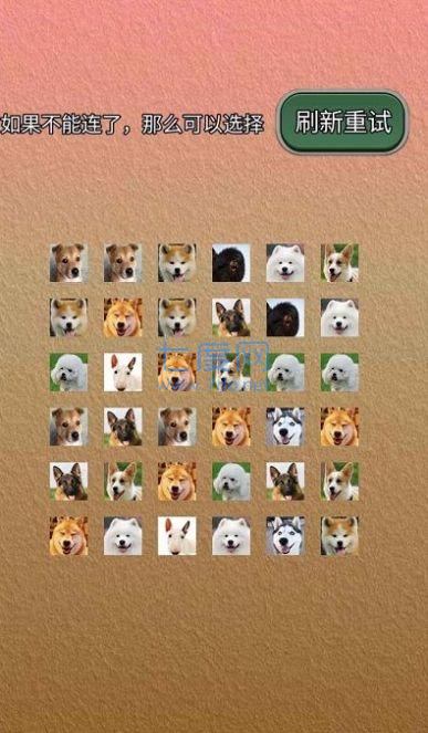 宠物连的快游戏 v1.0.4