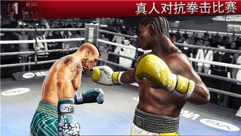 真实拳击2正版  v1.15.1