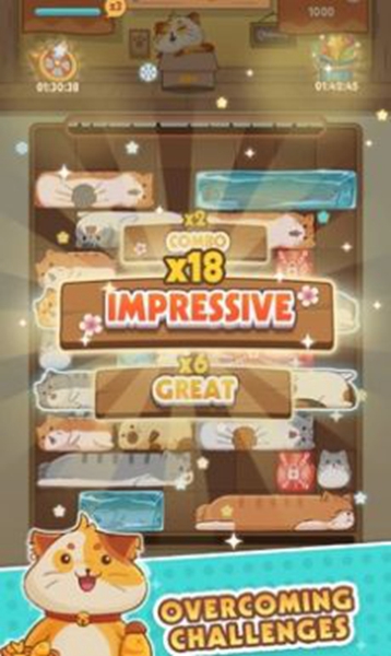 猫猫安全滑动拼图 v0.2.0