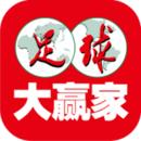 足球大赢家