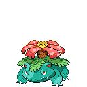 口袋新世代正版