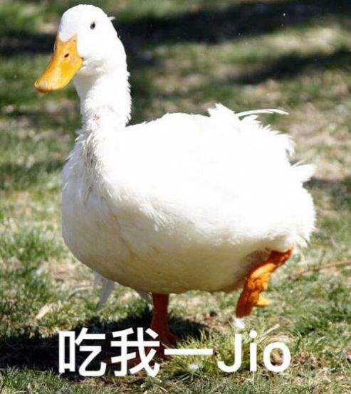 1609839553852504.jpg 1609839553852504.jpg