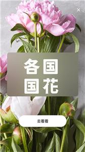 照片转动漫  v1.0.0