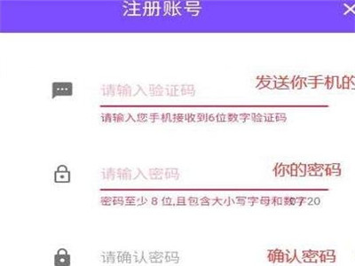 阿蕾德之怒勇士之光