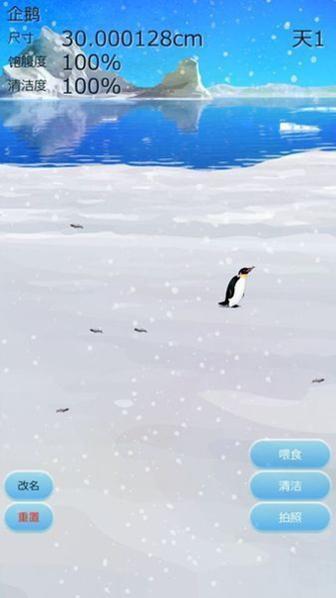 治愈的企鹅育成 v3.0.5
