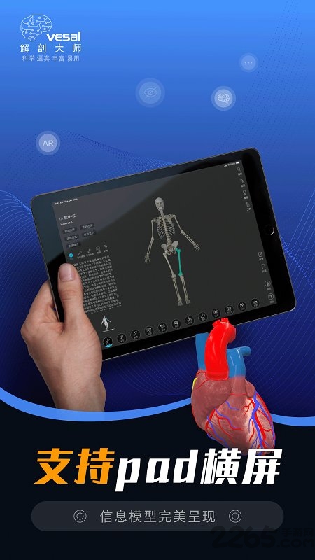 解剖大师 v2.3.6