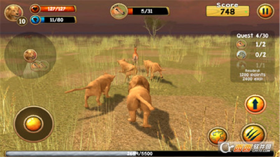 野生狮子模拟器3D 野生狮子模拟器3D