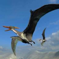 Pterodactyl Survival(翼龙生存模拟器)