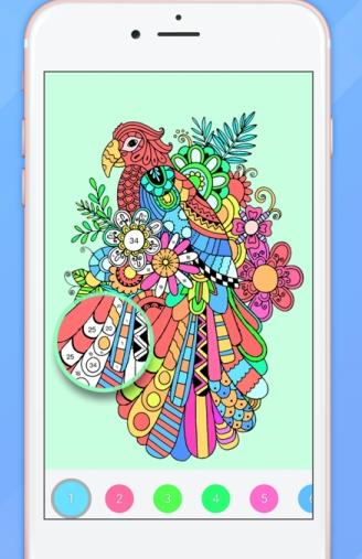 小画家爱涂色 v1.0