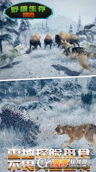 野狼生存模拟