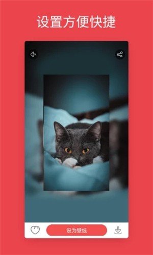 壁纸中心 版本:v1.1