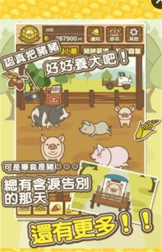 养猪场MIX  v9.5