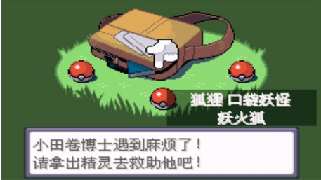 口袋妖怪：错乱时空 v3.0.5