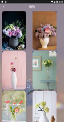 元气可爱壁纸 v1.0