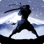 暗影格斗2中文