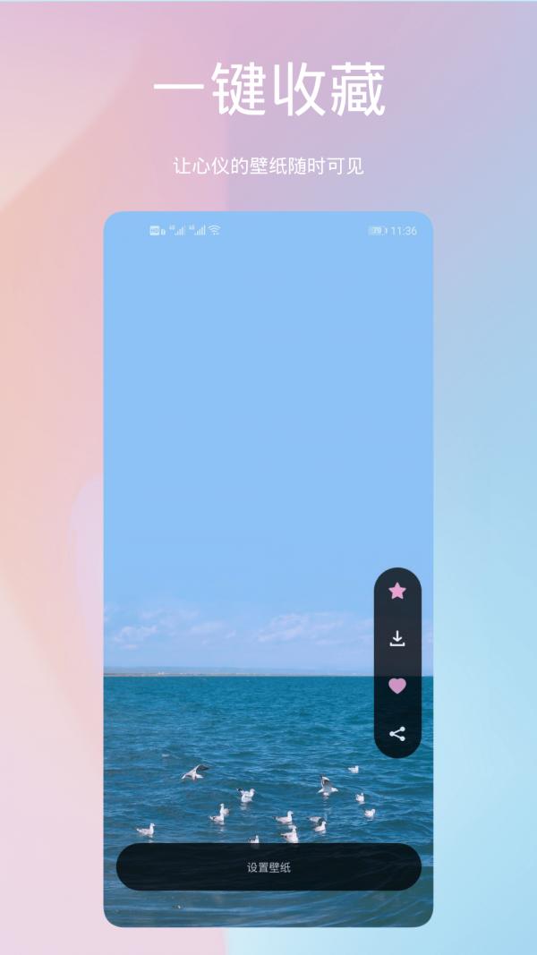 鹦鹉螺壁纸 v1.0.5