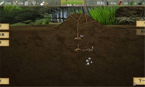 最后的蚂蚁中文版截图2