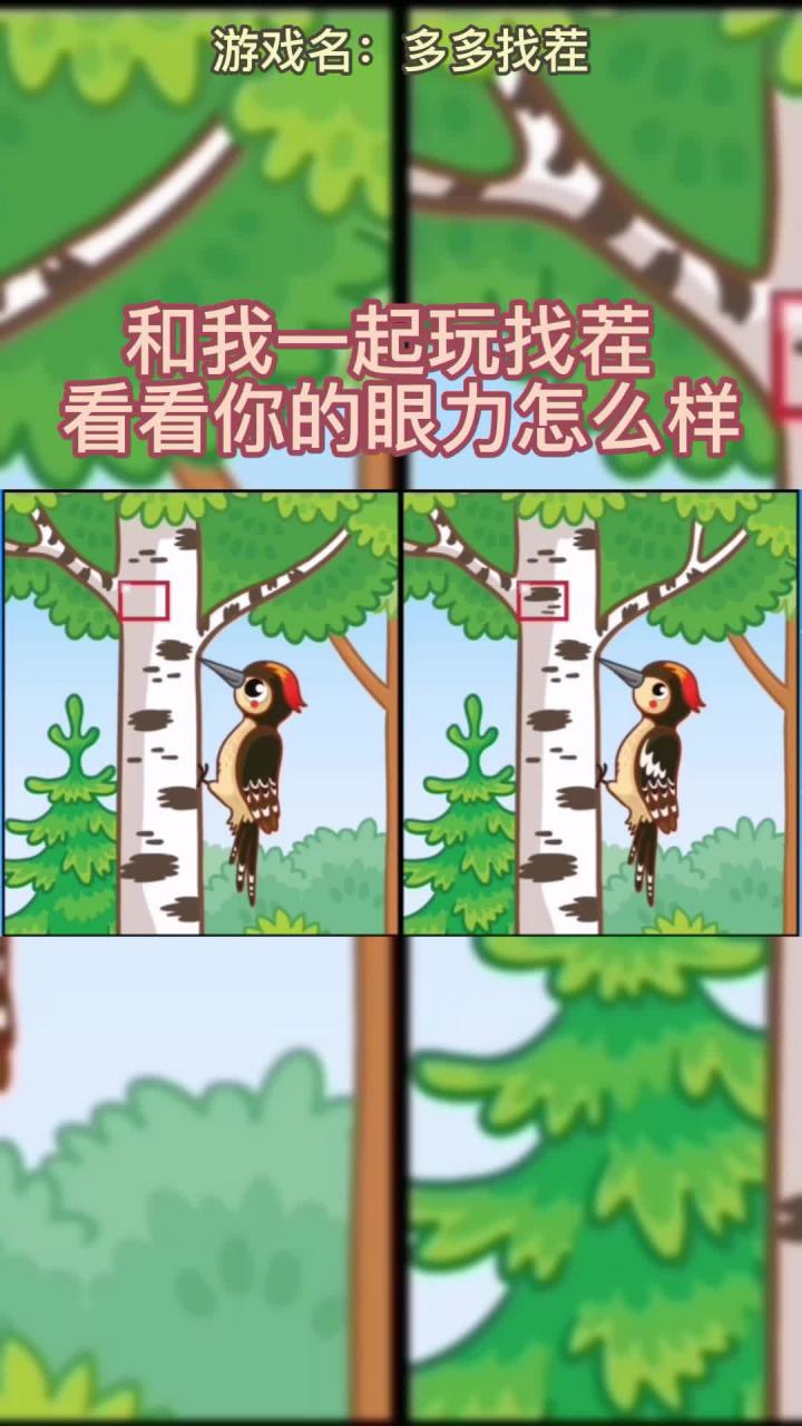 多多找茬 v1.0.001