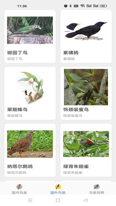 鸭鸭的世界软件官方版  v5.3.2