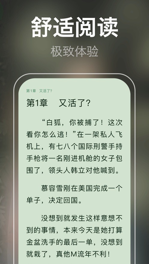 小说视频截图2