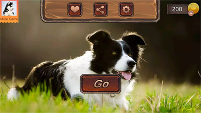 边境牧羊犬模拟器Border Collie Simulator